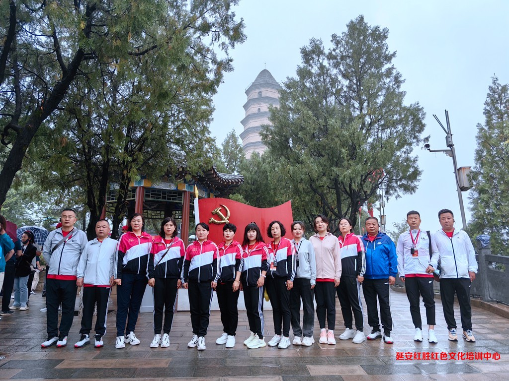 烏海市精神衛(wèi)生中心黨支部“傳承延安精神，汲取奮進(jìn)力量”黨性教育專題培訓(xùn)2023.6.17