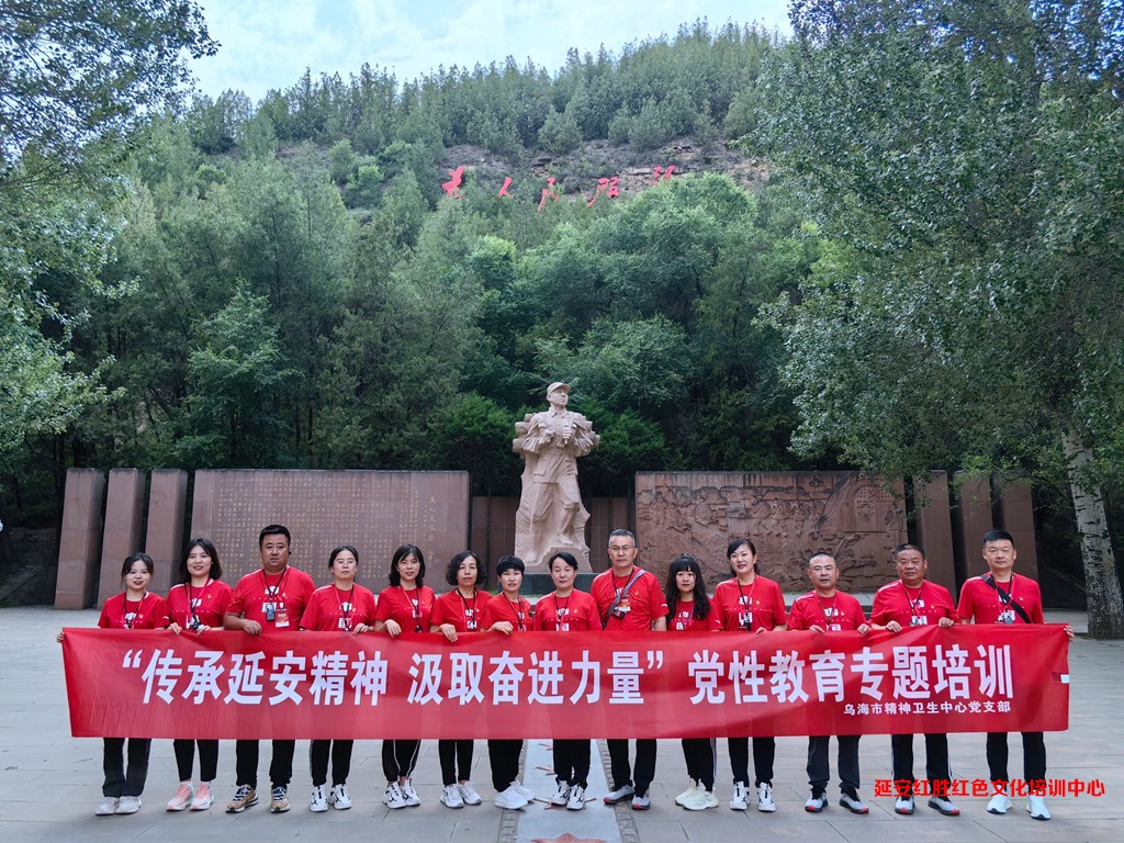 烏海市精神衛(wèi)生中心黨支部“傳承延安精神，汲取奮進(jìn)力量”黨性教育專題培訓(xùn)2023.6.17
