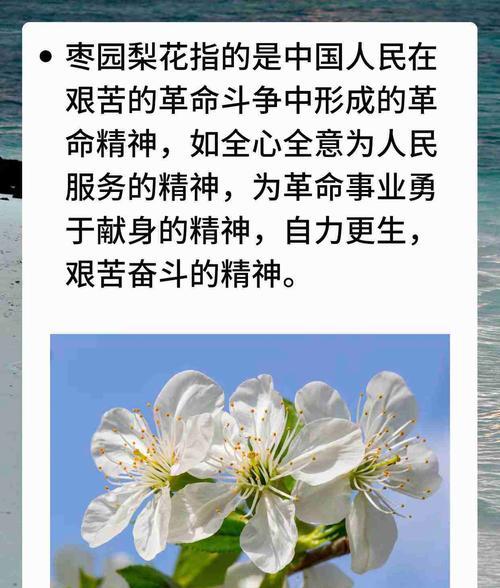 延安的紅色教育基地_延安紅色基地簡介_延安紅色基地在哪